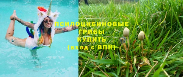 а пвп мука Верея