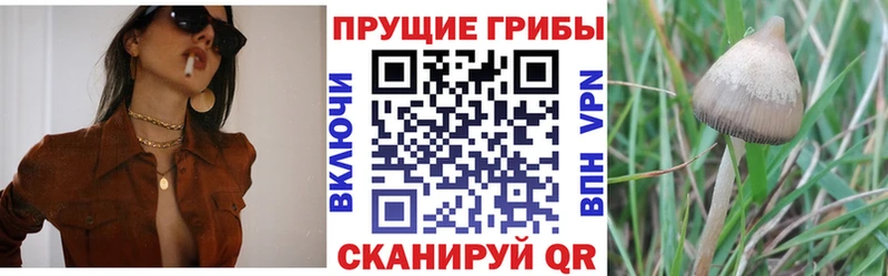 Галлюциногенные грибы MAGIC MUSHROOMS  Елабуга 